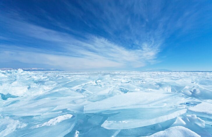 オホーツク流氷館の4つの見どころを紹介！マイナス15度の世界を体感！