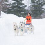 北海道で犬ぞり体験ができる？白滝高原を駆け抜けろ！